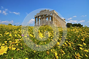 The temple and the nature