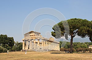 Temple paestum