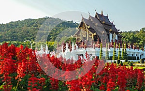 TEMPLE PALACE WITH RED FLOWER FOREGROUND