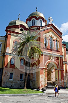 The temple and palm tree