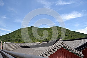 The temple roof around Beomeosa. Pic was taken in August 2017.