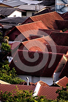 Temple roof and Wat Phra Kaew  Bangkok  Thailand