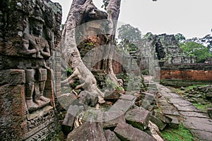 temple ruin angkor wat