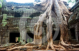 Temple ruins, Angkor wat, Cambodia photo