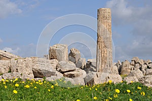 Temple ruins in Selinunte in Sicily