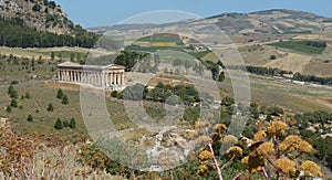 Temple of Segesta