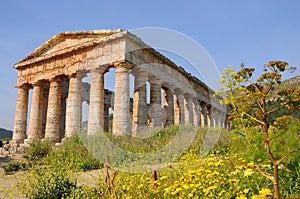 Temple in Segesta