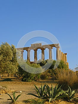 Temple in Sicily