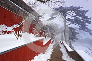 Temple snow fog