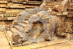 Temple steps with elephant