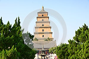 Temple and stupa photo