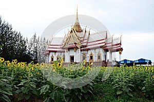 Temple and Sunflower with sky background