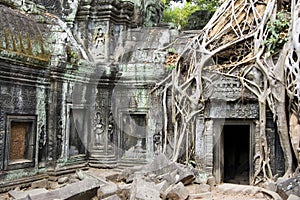 Temple Of Ta Phrom