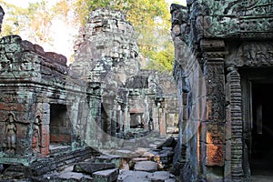 Temple Ta Phrom in Cambodia