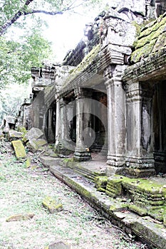 Temple of Ta-prom Cambodia.The temple named in honor of Angelina Jolie...