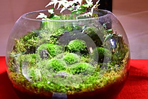 A temple themed moss terrarium.