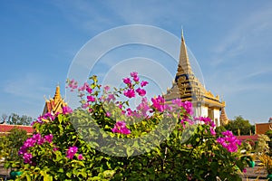 Temple towers in Royal palace