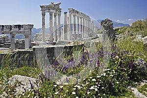 Temple of Trajan at Pergamum, Turkey