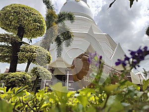 temple, tree, leaf, plant, nature, beautiful, sky, buddism, thailand