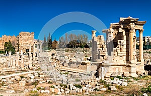 The temple of Venus at Baalbek, Lebanon