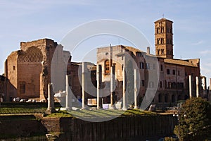 The Temple of Venus in Rome
