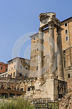 Temple of Vespasian and Titus in the Roman Forum