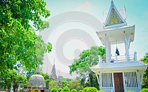 Temple Viwe of thailand, nature green wold