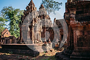 Temples Angkor Wat in Cambodia, ta Prohm, Siem Reap
