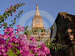 Temples in Bagan Myanmar photo