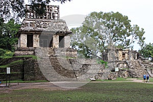Temples of the Cross Group in Palenque