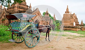 The temples and the horse carriage in Bagan