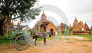 The temples and the horse carriage in Bagan