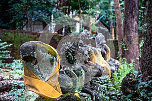 Temples of Thailand a museum of old Buddha statues