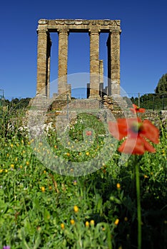 Temple of Antas, close to Fluminimaggiore, Iglesias, Sardinia, Italy photo
