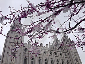 Templo de Salt Lake City, Utah photo