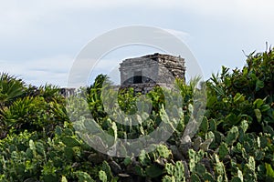 Templo Del Dios Viento Mayan Ruins photo