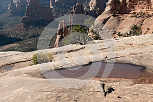 Temporary Pool in Sandstone on the Rim of the Colorado National Monument