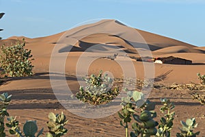 Temporary settlement in the sahara