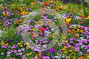 Temps de Flors - Flower Festival in Girona, 2021