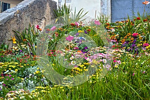 Temps de Flors - Flower Festival in Girona, 2021
