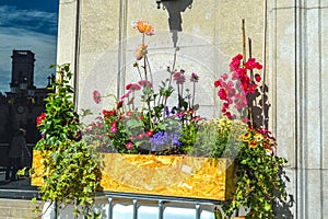 Temps de Flors - Flower Festival in Girona, 2021