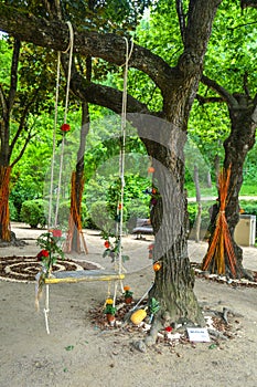 Temps de Flors - Flower Festival in Girona, 2021