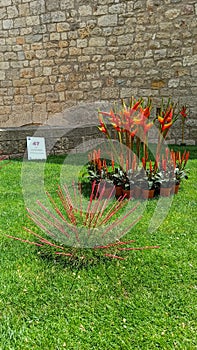 Temps de Flors - Flower Festival in Girona, 2021