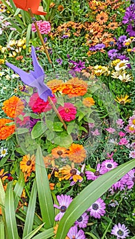 Temps de Flors - Flower Festival in Girona, 2021