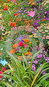 Temps de Flors - Flower Festival in Girona, 2021