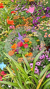 Temps de Flors - Flower Festival in Girona, 2021