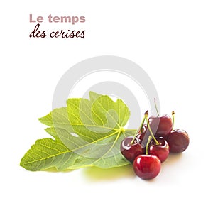 Temps des cerises illustration