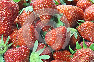 Temptations: background of red ripe strawberries photo