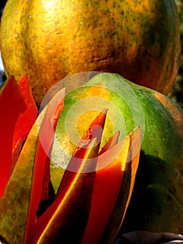 Tempting Papaya photo