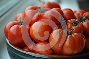 Tempting Tomatoes photo